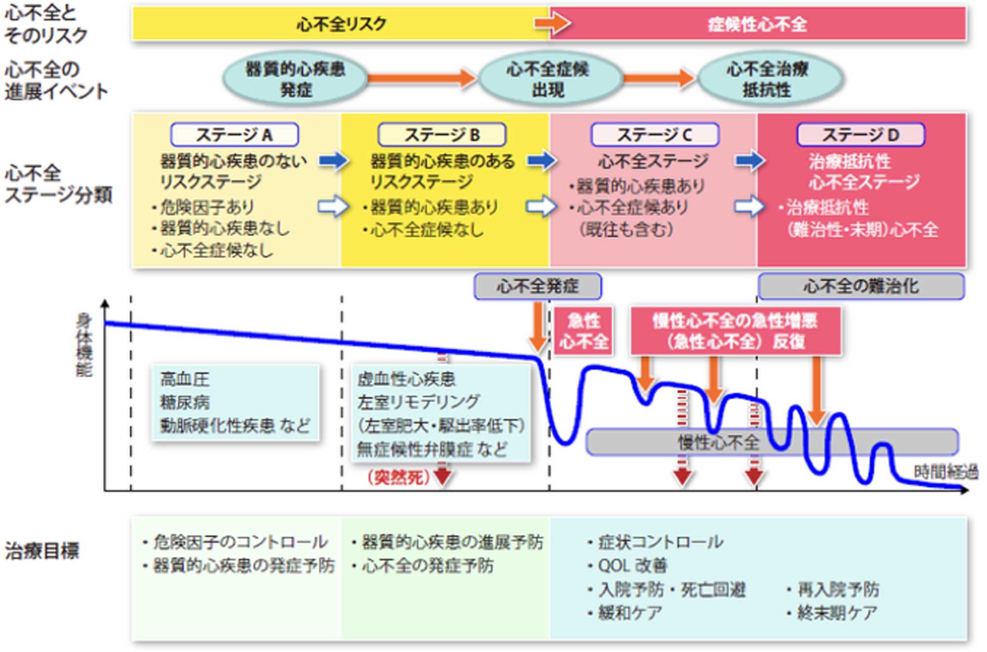 心不全とそのリスクの進展ステージ