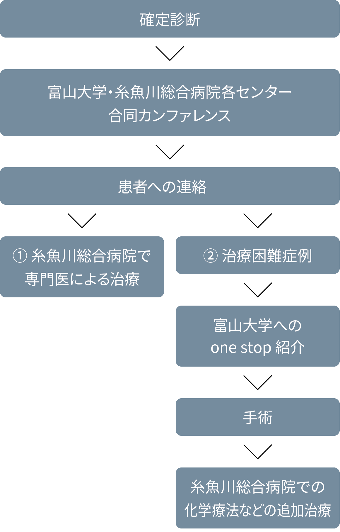 要精査から診断までの流れ