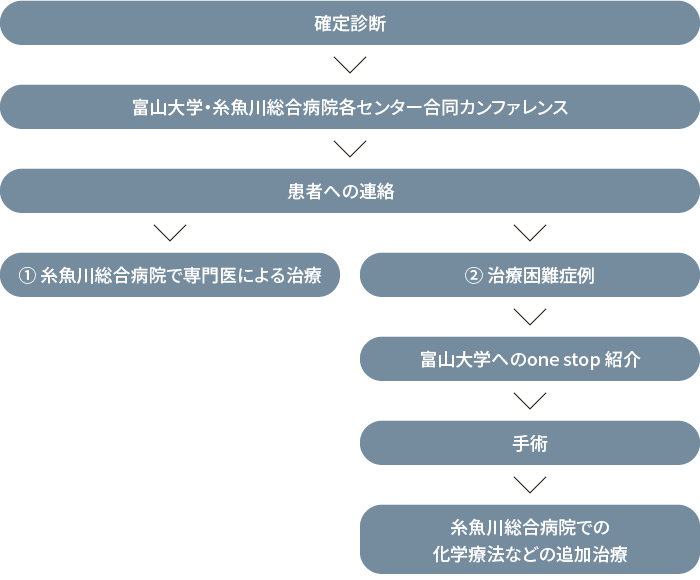 要精査から診断までの流れ